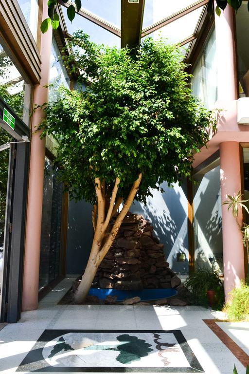 Argenta Apart Hotel Trelew Eksteriør billede